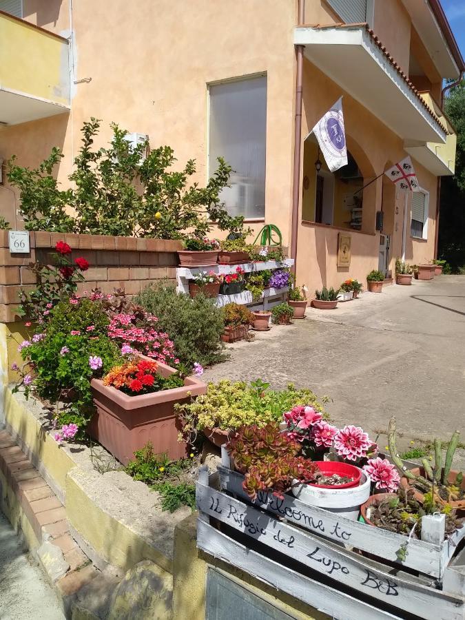 B&B Il Rifugio Del Lupo - E6721 Paringianu Ngoại thất bức ảnh